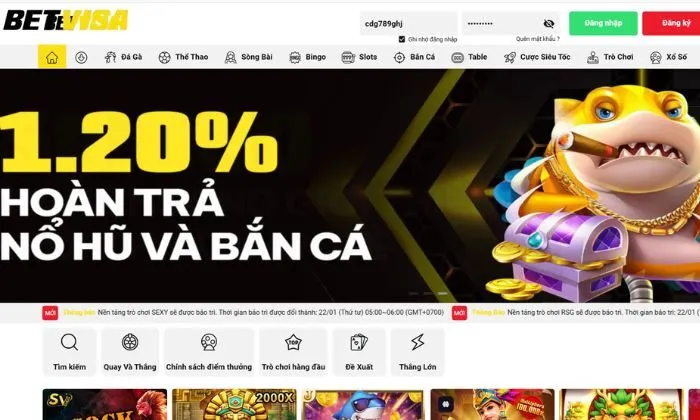 Giấy phép kinh doanh Betvisa Betvisa khẳng định sự uy tín và chất lượng vượt trội
