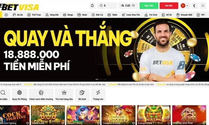 Giới thiệu Betvisa Thông tin chung về nhà cái Betvisa