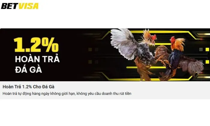 Hoàn trả cho đá gà Betvisa Sảnh cược áp dụng khuyến mãi hoàn trả cho đá gà Betvisa