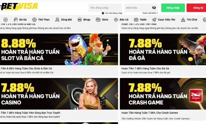 Hoàn trả hàng tuần Betvisa Tìm hiểu tổng quan về nhà cái Betvisa