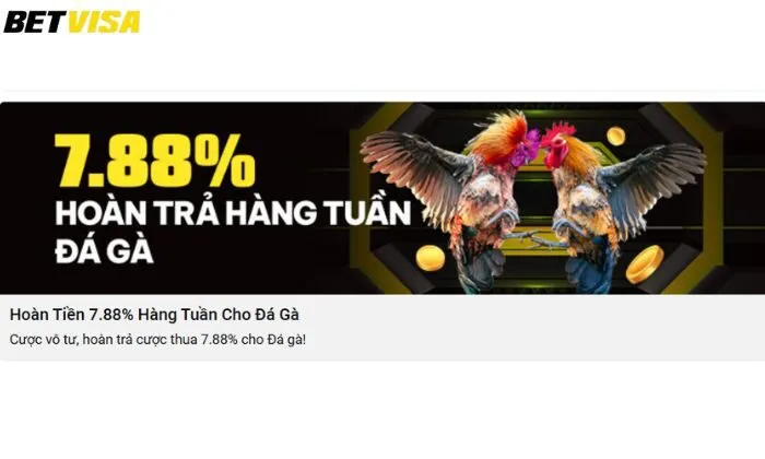 Hoàn trả hàng tuần Betvisa Hoàn trả hàng tuần đá gà