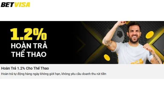 Hoàn trả hàng tuần Betvisa Hoàn trả hàng tuần thể thao