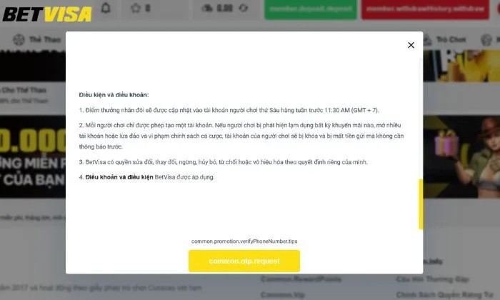 Nhân đôi điểm thưởng Betvisa Các điều kiện và điều khoản cụ thể về khuyến mãi nhân đôi điểm thưởng Betvisa
