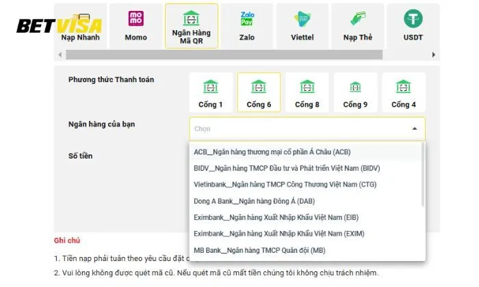 phương thức thanh toán Betvisa Nhập chính xác thông tin theo form mẫu
