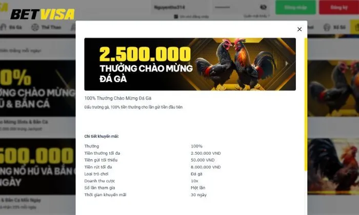 Thưởng chào mừng đá gà Betvisa Thưởng chào mừng 100% tiền nạp tại sảnh đá gà