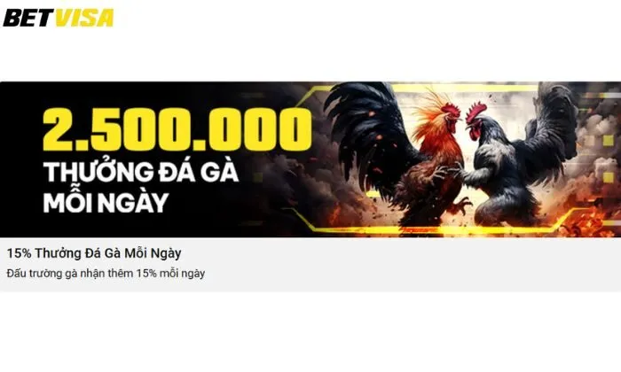 thưởng đá gà mỗi ngày Betvisa Vì sao nên tham gia chương trình khuyến mãi thưởng đá gà mỗi ngày Betvisa