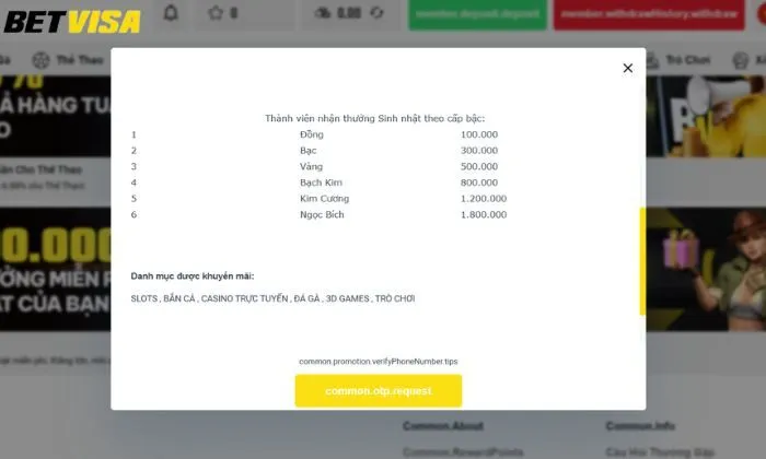 Tiền thưởng sinh nhật Betvisa Các danh mục trò chơi được khuyến mãi